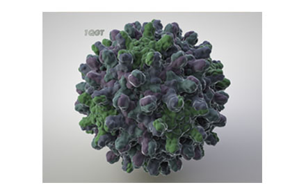 3D render of a viral capsid