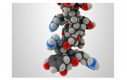 3D render of a neuropeptide